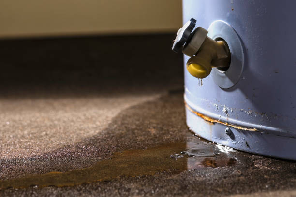 Best 24/7 water damage repair  in Haleiwa, HI