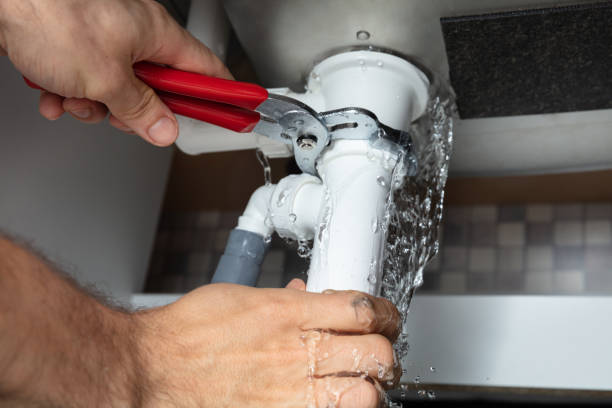 Best Basement water damage restoration  in Haleiwa, HI