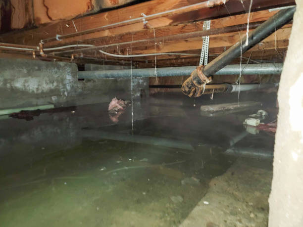 Best Emergency water damage restoration  in Haleiwa, HI