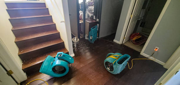 Professional Water damage restoration in HI