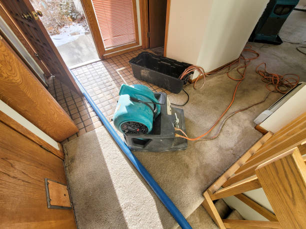 Best Water damage restoration experts  in Haleiwa, HI