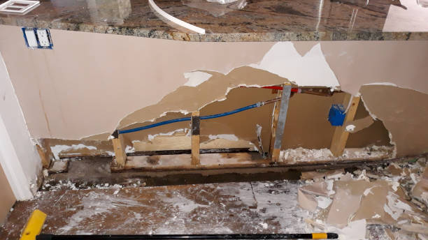 Best Flood damage cleanup  in Haleiwa, HI