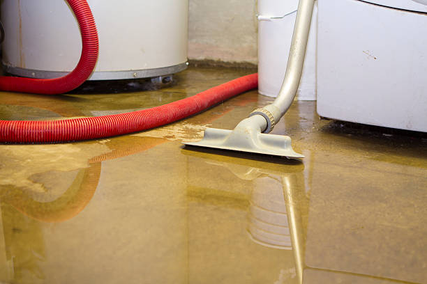 Best Ceiling water damage repair  in Haleiwa, HI