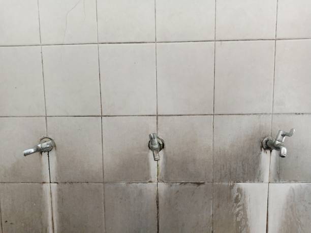 Water damage restoration experts in HI