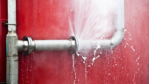Best Water damage contractors near me  in Haleiwa, HI