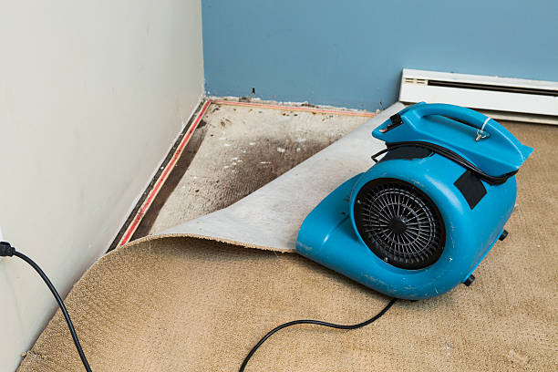 Best Commercial water damage restoration  in Haleiwa, HI